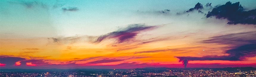 武义县茶虫网_武义县品茶